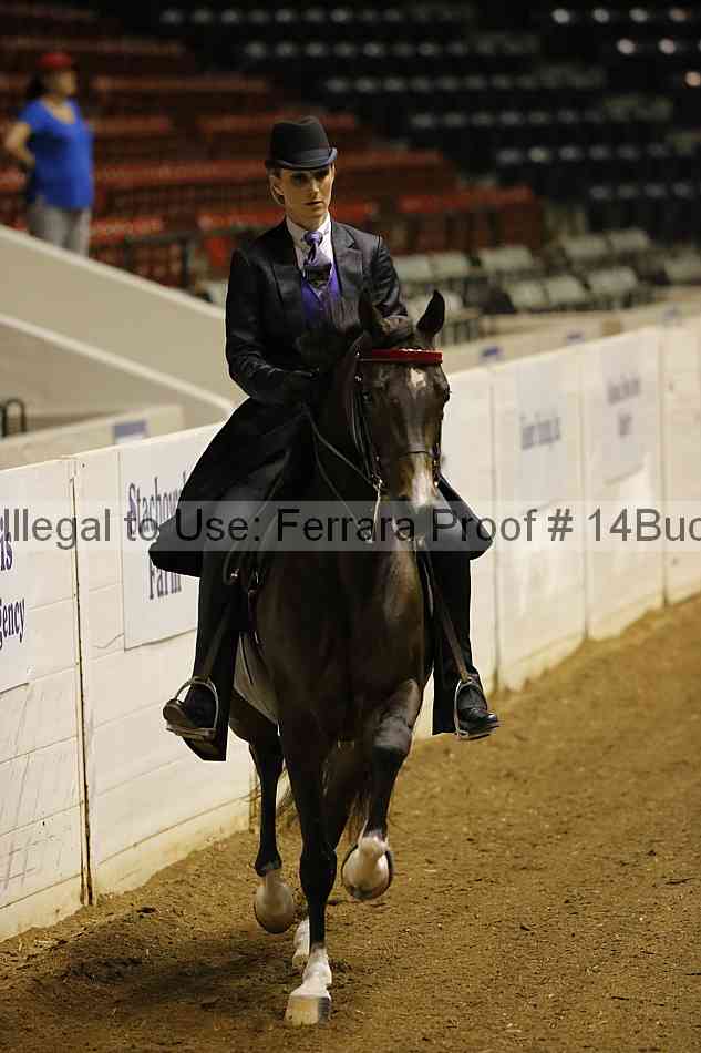 Proof 14buck_0053