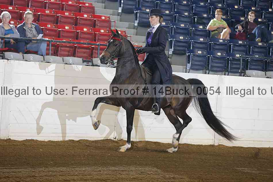Proof 14buck_0054