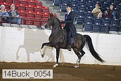 14buck_0054 proof