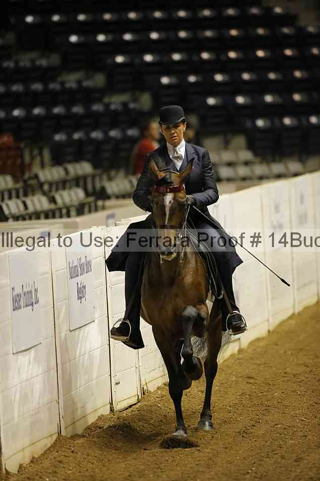 Proof 14buck_0056