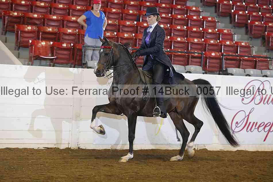 Proof 14buck_0057