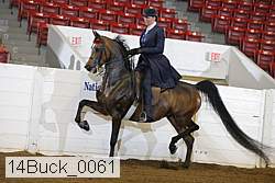 14buck_0061 proof