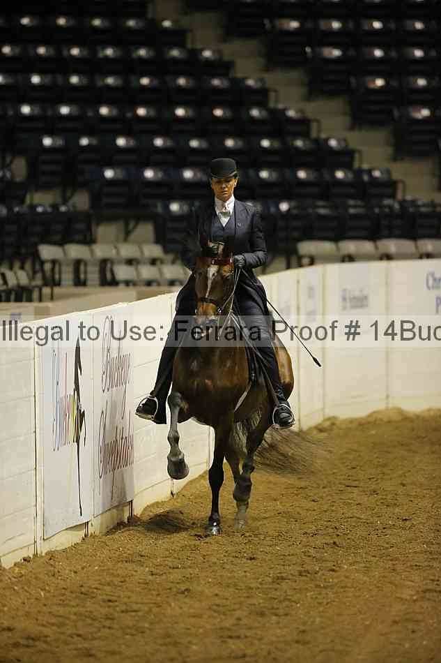 Proof 14buck_0062