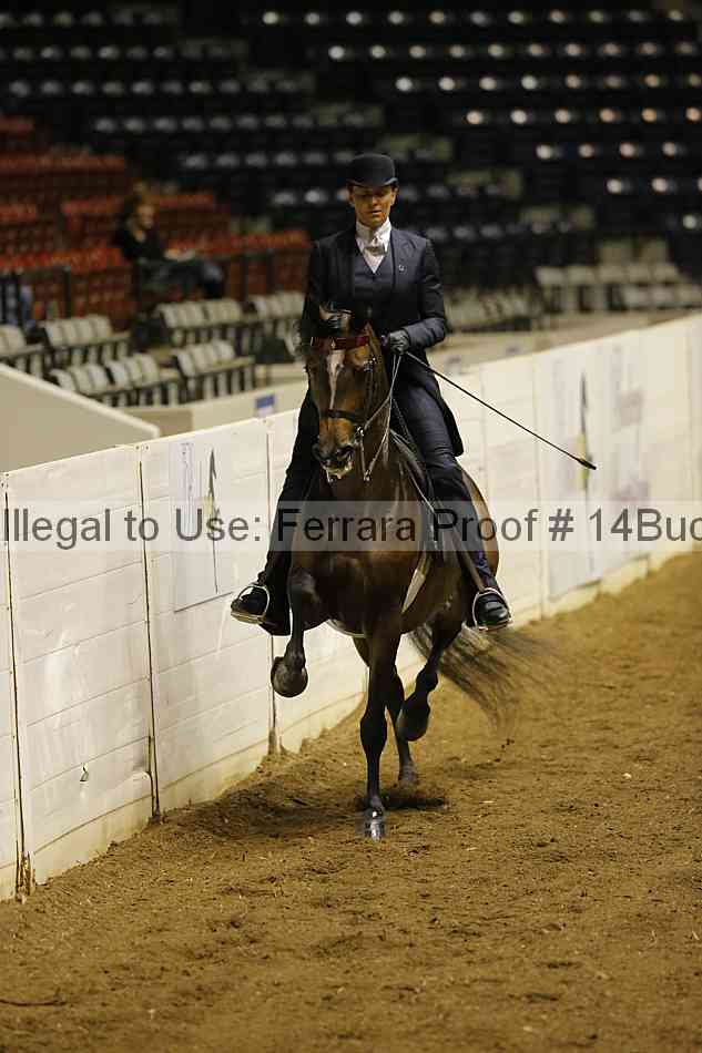 Proof 14buck_0064