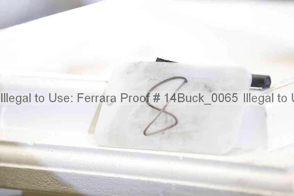 Proof 14buck_0065