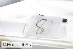 14buck_0065 proof
