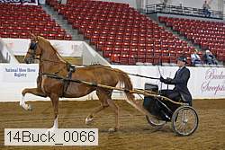 14buck_0066 proof