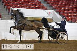 14buck_0070 proof
