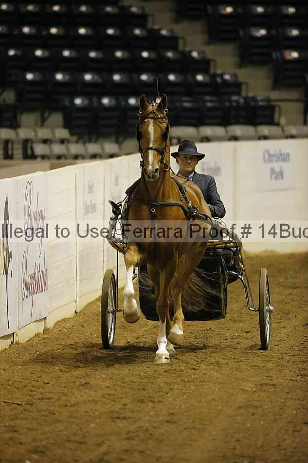 Proof 14buck_0072