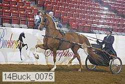 14buck_0075 proof