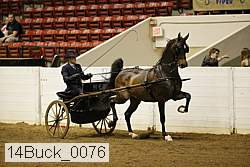 14buck_0076 proof