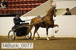 14buck_0077 proof