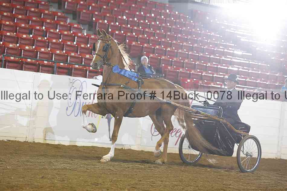 Proof 14buck_0078