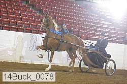14buck_0078 proof