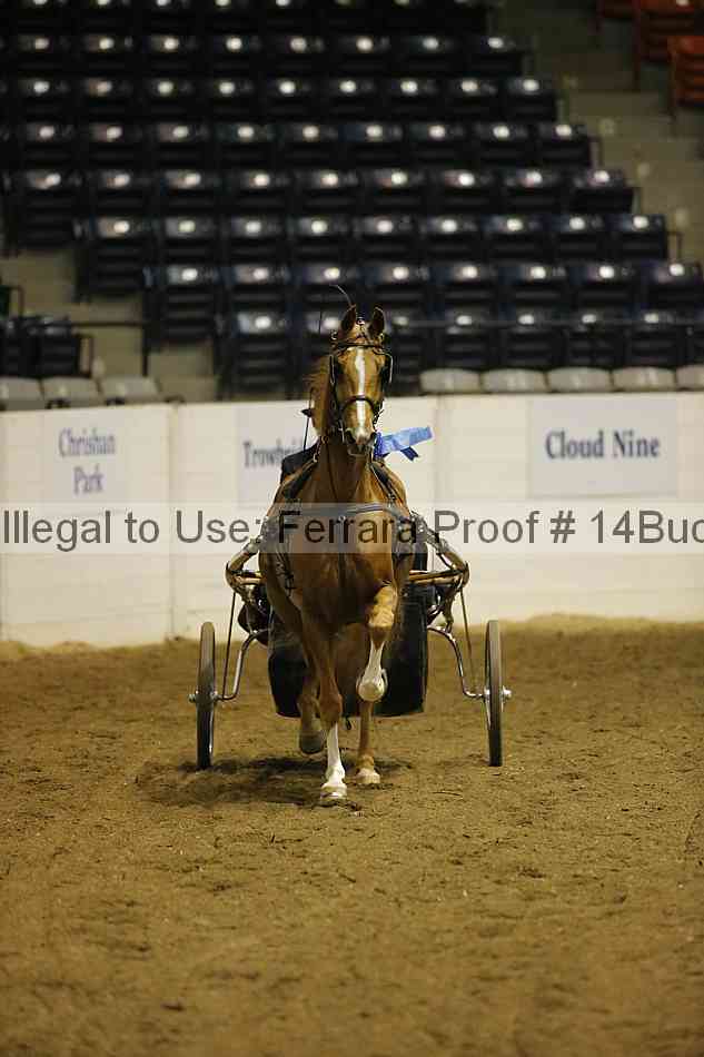 Proof 14buck_0080