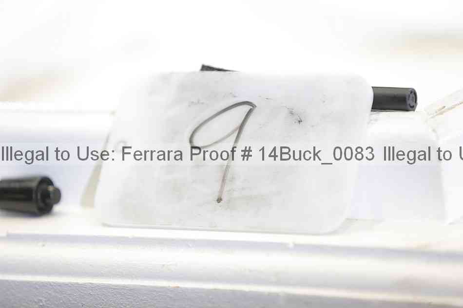 Proof 14buck_0083