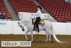 14buck_0085 proof