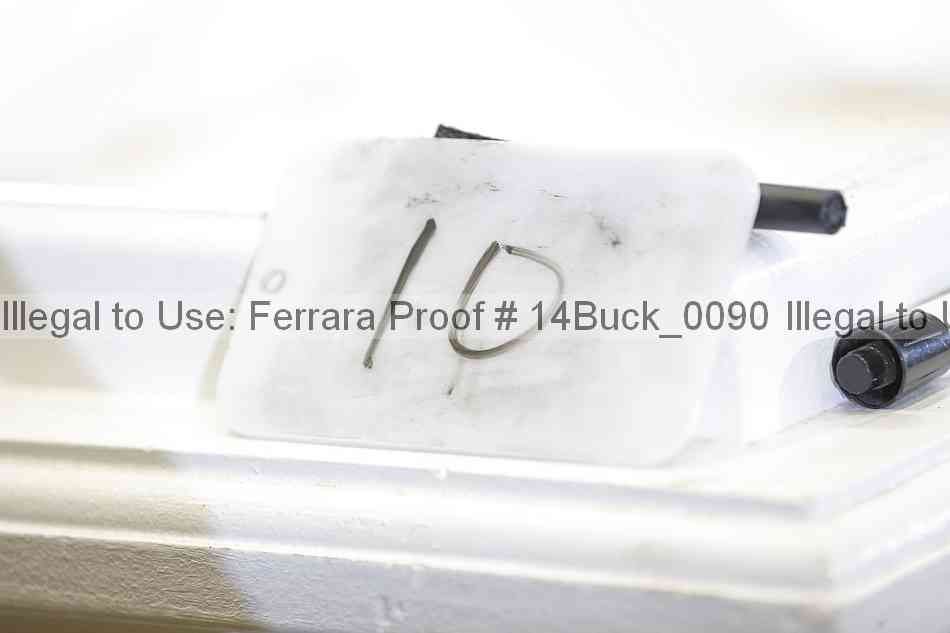Proof 14buck_0090