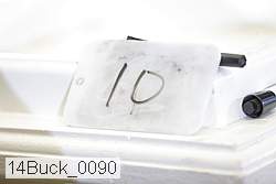 14buck_0090 proof