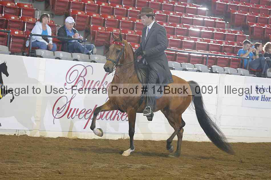 Proof 14buck_0091