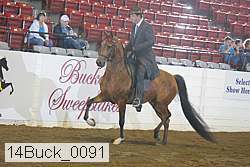 14buck_0091 proof