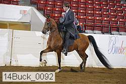 14buck_0092 proof