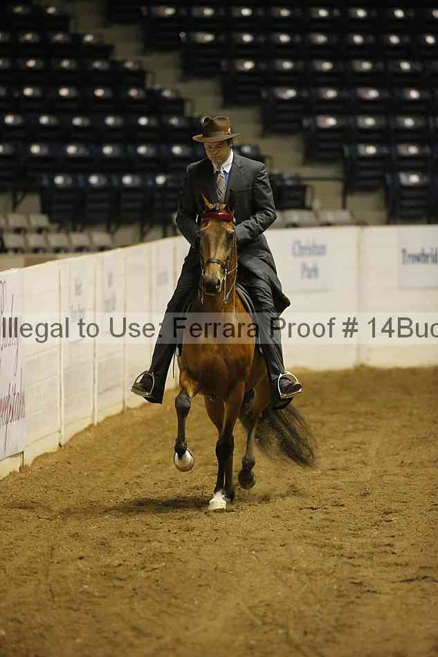 Proof 14buck_0093