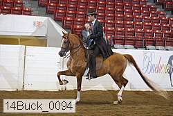 14buck_0094 proof
