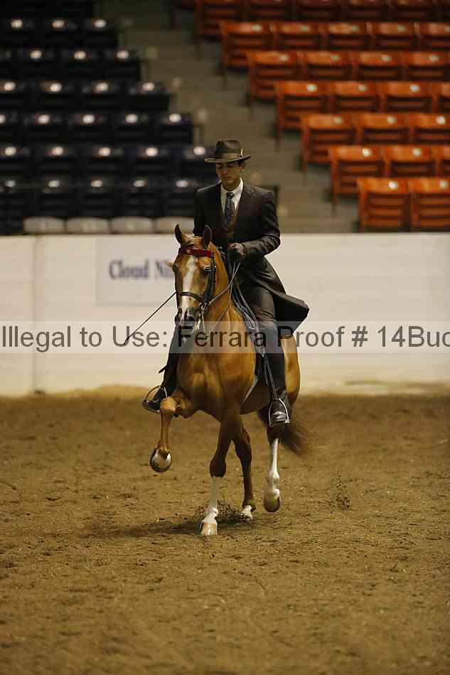 Proof 14buck_0095