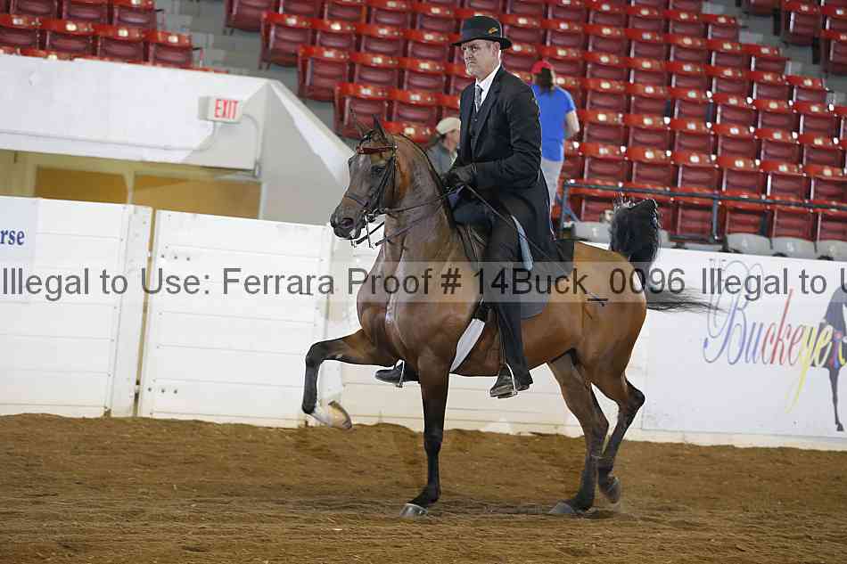 Proof 14buck_0096