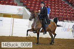 14buck_0096 proof