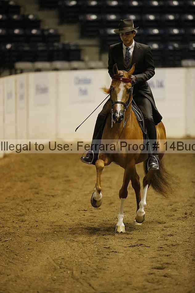 Proof 14buck_0097