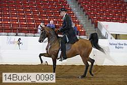 14buck_0098 proof