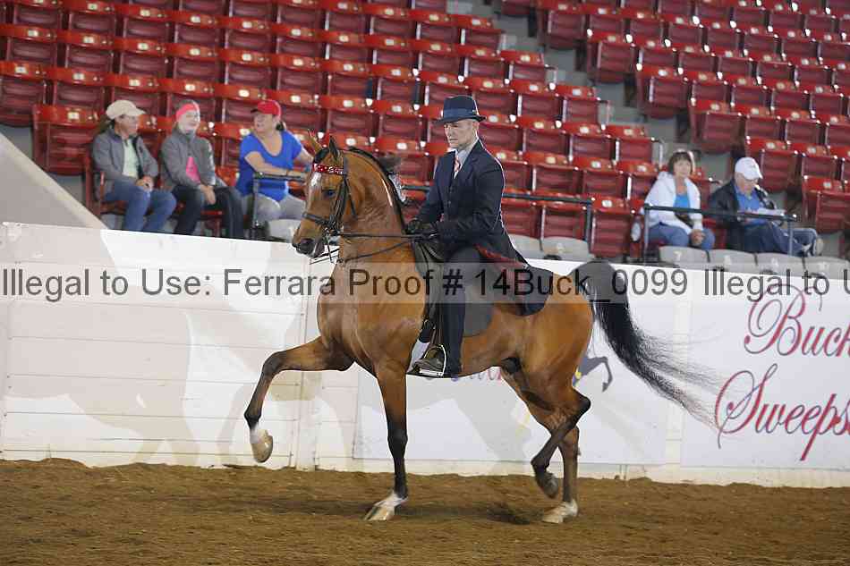Proof 14buck_0099