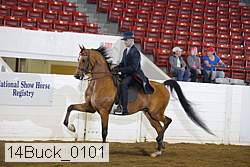 14buck_0101 proof