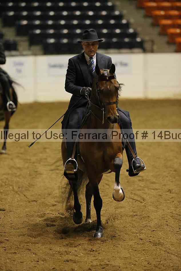 Proof 14buck_0105