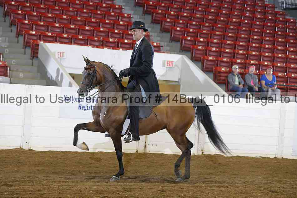 Proof 14buck_0106