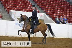 14buck_0106 proof