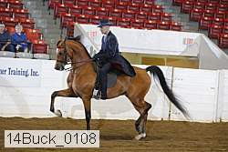 14buck_0108 proof