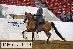 14buck_0110 proof
