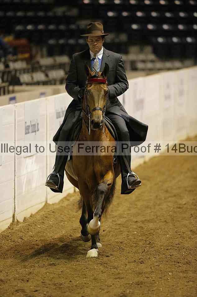 Proof 14buck_0111