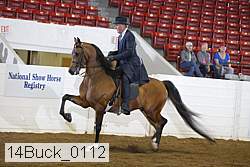14buck_0112 proof