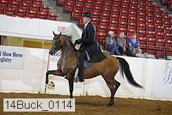 14buck_0114 proof