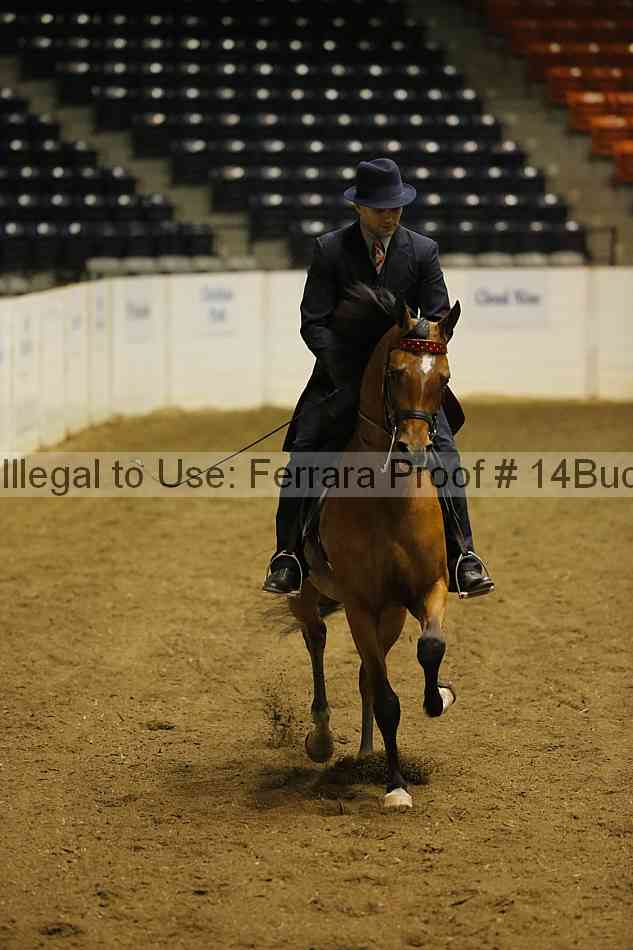 Proof 14buck_0118