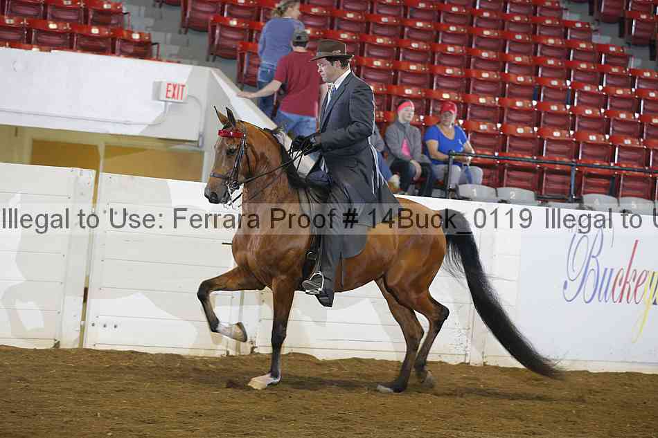 Proof 14buck_0119