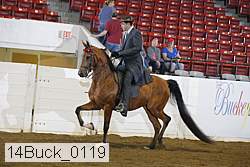 14buck_0119 proof