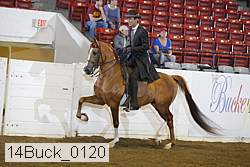 14buck_0120 proof