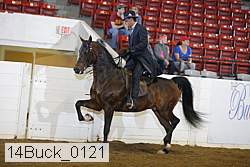 14buck_0121 proof