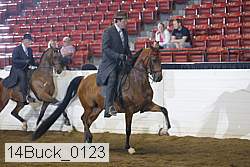 14buck_0123 proof