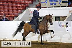 14buck_0124 proof